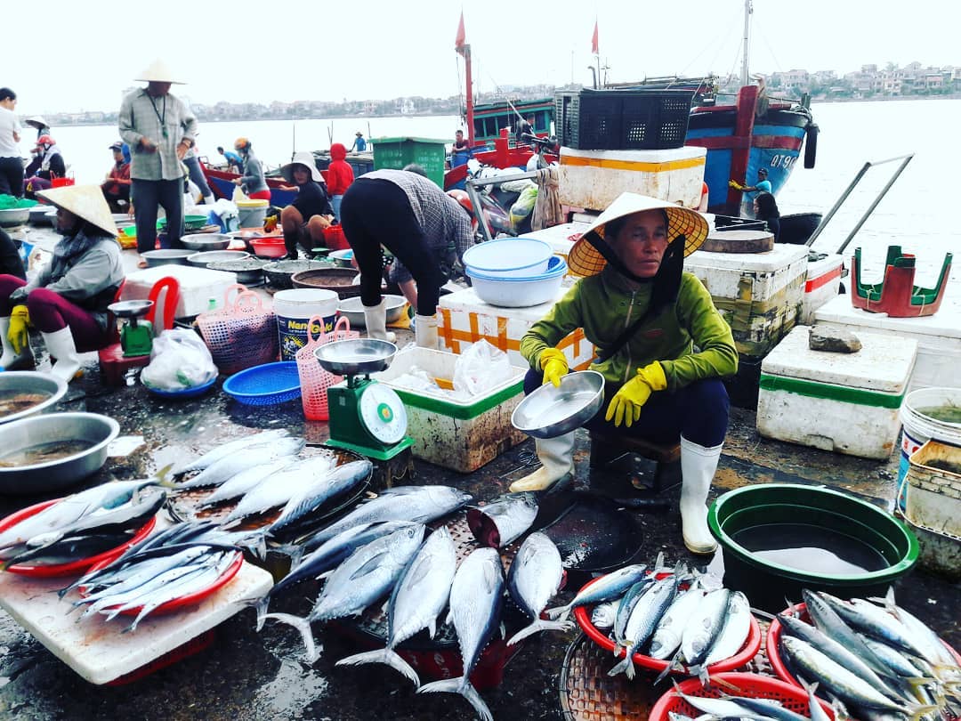 Chợ Đồng Hới có nhiều hải sản phong phú