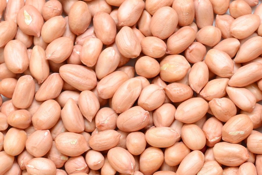 Quy trình sản xuất dầu lạc Phong Nha của bà con Quảng Bình