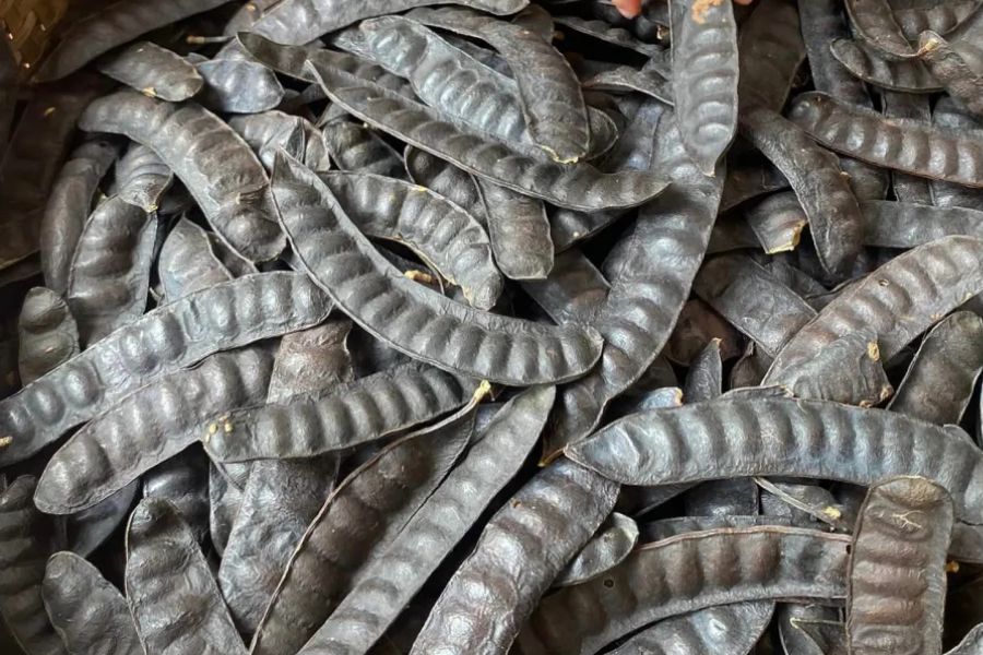 Thành phần của cao bồ kết thảo dược Nhiên Thảo