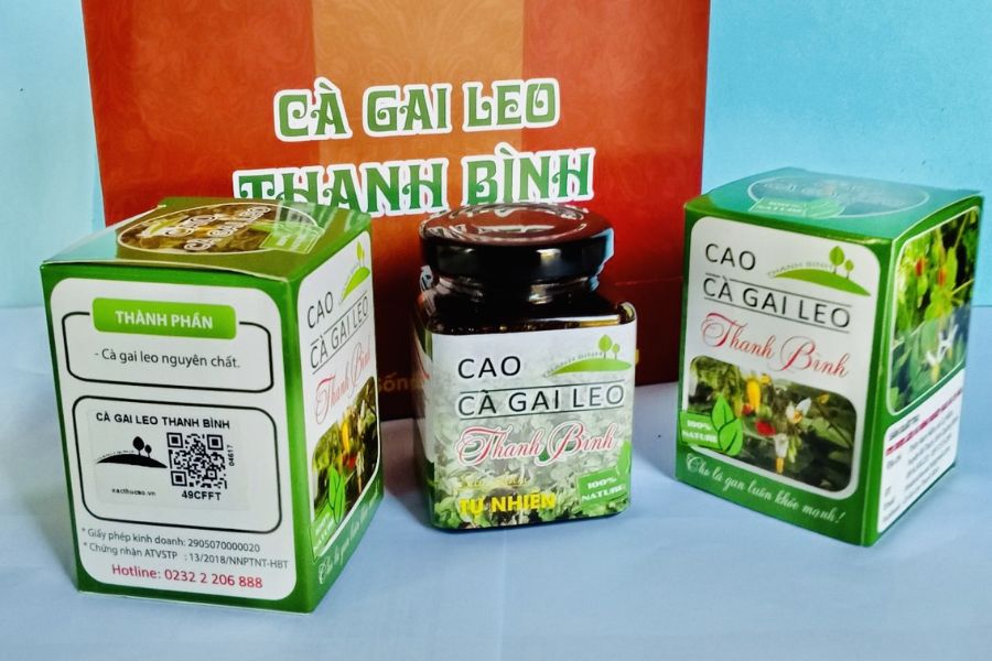 Mua dược liệu cà gai leo Thanh Bình ở đâu uy tín, chất lượng