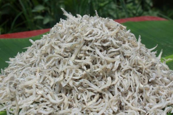 Đến đâu mua cá bờm trắng tươi ngon, uy tín và chất lượng